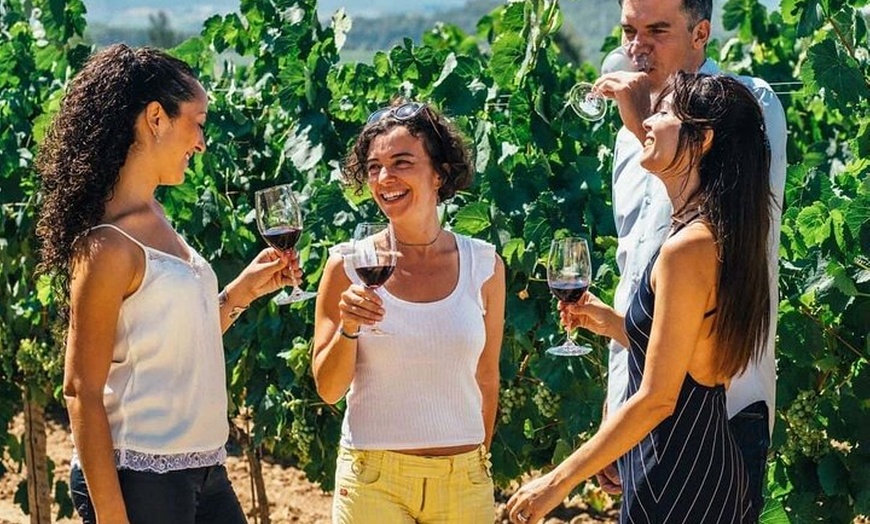 Image 3: Tour de la Ciudad de Toledo y Visita a Bodega con Cata de Vinos des...