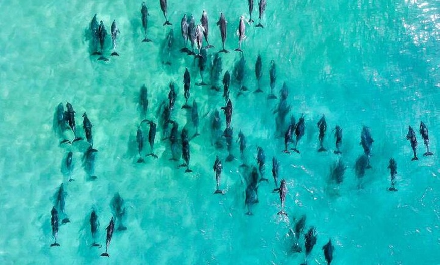 Image 2: Inner Reef Explorer - 30 minute Reef Scenic Flight