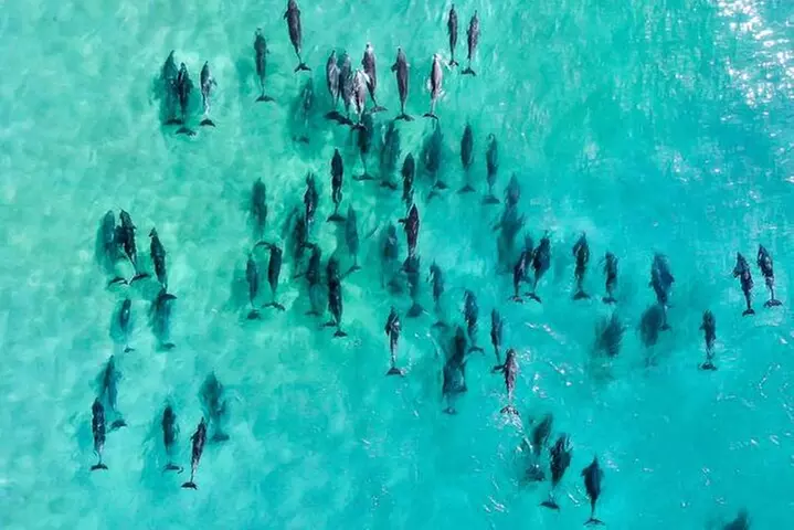 Inner Reef Explorer - 30 minute Reef Scenic Flight