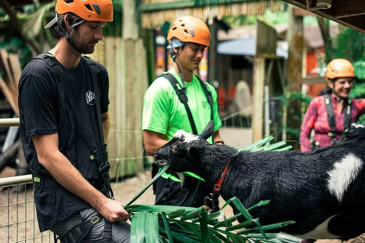 5 Line Jungle Zipline Eco Adventure