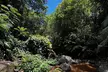 Guided Waterfall and Jungle Hiking Tour - Second Medium
