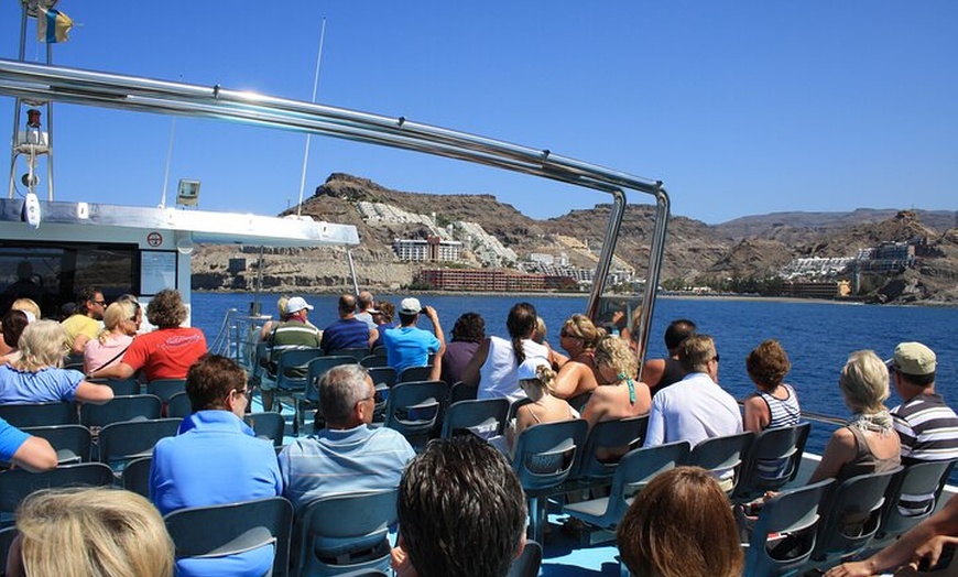 Image 6: Tour de Medio-Dia en Crucero-Observación de Delfines y Ballenas