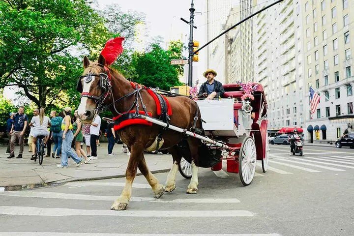 Central Park Horse and Carriage Rides - Primary Image