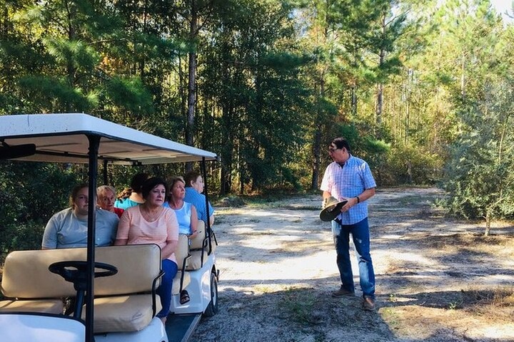 The Olive Grove Tour