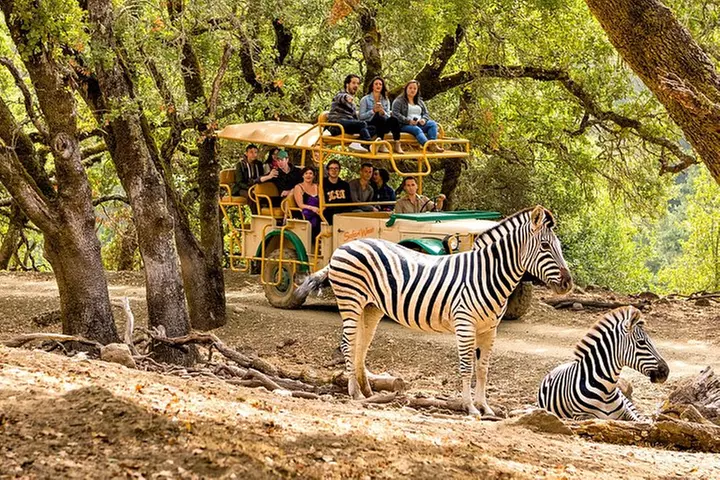 Safari West Sonoma Adventure Tour - Primary Image