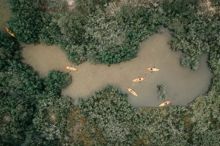 Thousand Islands Mangrove Tunnel Kayak Tour with Cocoa Kayaking!