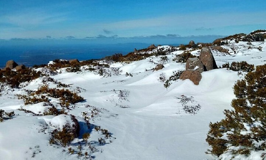 Image 9: Mt Wellington Ultimate Experience Tour from Hobart