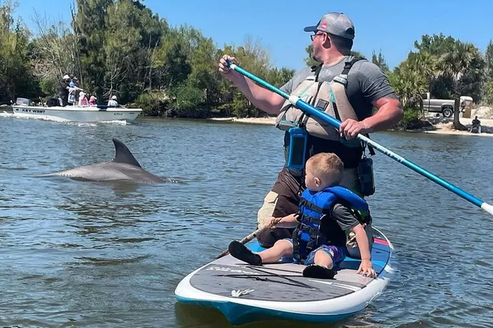 Wildlife Refuge Dolphin, Manatee & Mangrove Kayak or Paddleboarding...