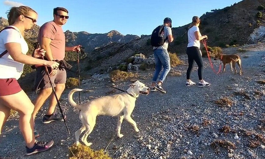 Image 35: NUEVO:Sunset Hike & Summit Sierra Nevada - Tour privado con cachorro