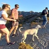 Image 35: NUEVO:Sunset Hike & Summit Sierra Nevada - Tour privado con cachorro