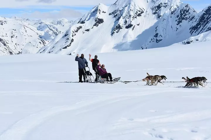 Summer Glacier Dogsledding Tour from Girdwood