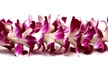 Orchid Airport Lei Greeting (Maui, Kahului Airport, OGG) - Second Medium