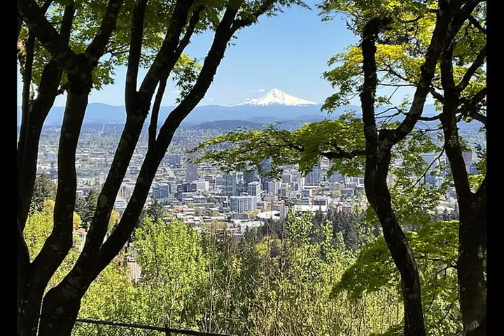 Portland City Tour: Views and News (Our Best Selling Tour!)