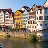 Image 4: Entdecken Sie Tübingens Stadthighlights mit einem Einheimischen