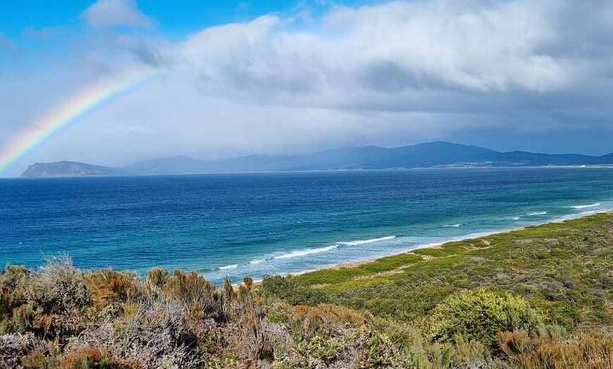 Image 10: Bruny Island Nature and Tasting Active Day Tour