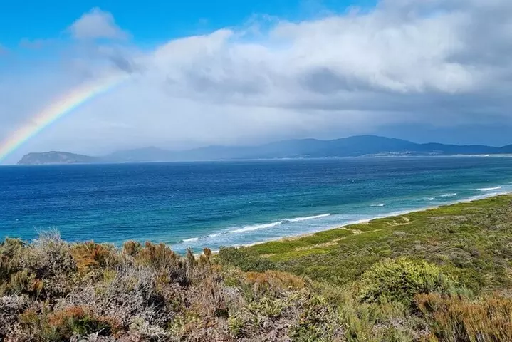 Hobart: Bruny Island Adventure: Hiking, Highlights & Local tastes