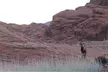 Valley of Fire Tour - Second Medium