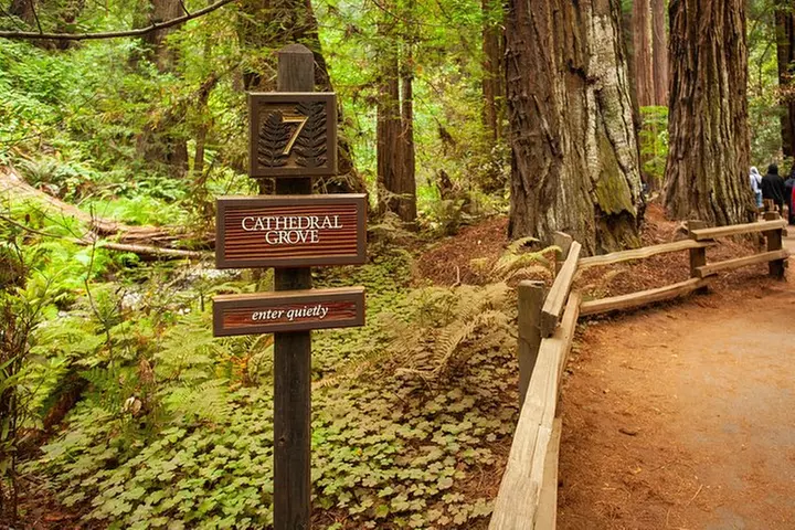 Muir Woods and Sausalito Tour Plus Bay Cruise