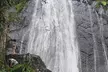 El Yunque Rainforest Guided Tour - Second Medium