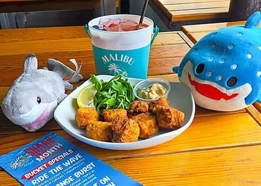 5% Cash Back at Calypso Bar And Grill