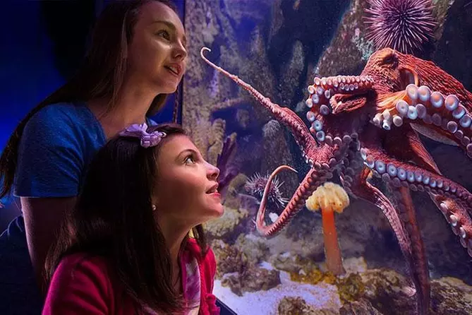 Newport Aquarium Admission With Free $10 Gift Shop Credit Included - Primary Image