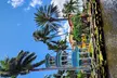 3 hours - Fort Lauderdale Scenic Boat Tour - max 6 pax - Second Medium