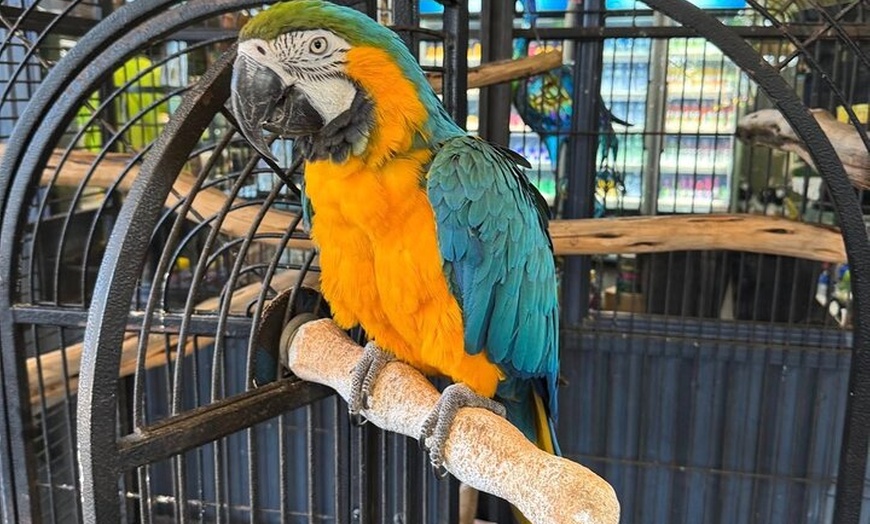 Image 4: Explore Whitsundays Departing From Mackay