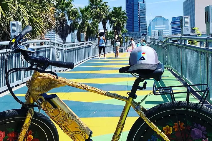 Electric Bike Art and Architecture Guided Tour in Jacksonville