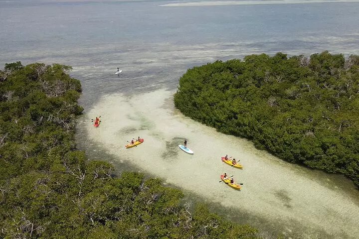 Key West Sandbar Charter With Kayak Tour: Includes Lunch & Drinks