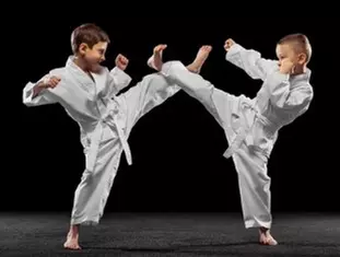 $125 For A 1.5-Hour Martial Arts Birthday Party Package (Reg. $250)