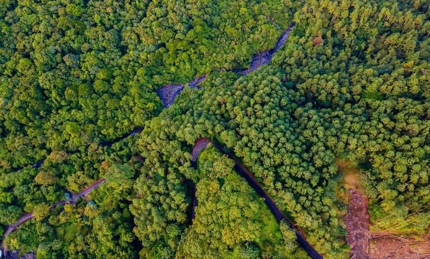 Image 9: ✈ COSTA RICA | San José - I gioielli della foresta pluviale: Costa ...