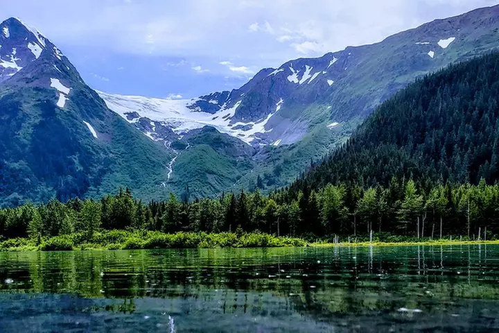 Wilderness, Wildlife, Glacier Experience from Anchorage