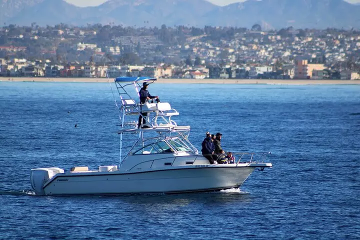 Ultimate Whale Watching Adventure - Primary Image