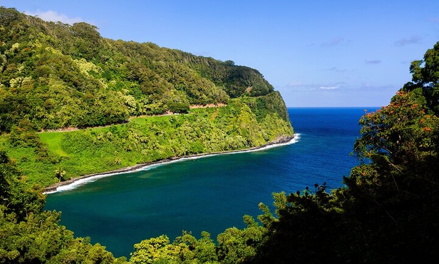 Aloha Hawaii Tours - Aloha Hawaii Tours | Groupon