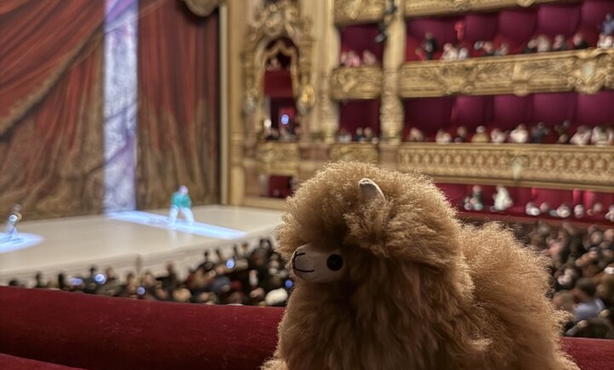 Image 6: Visite guidée privée exclusive Opéra Garnier