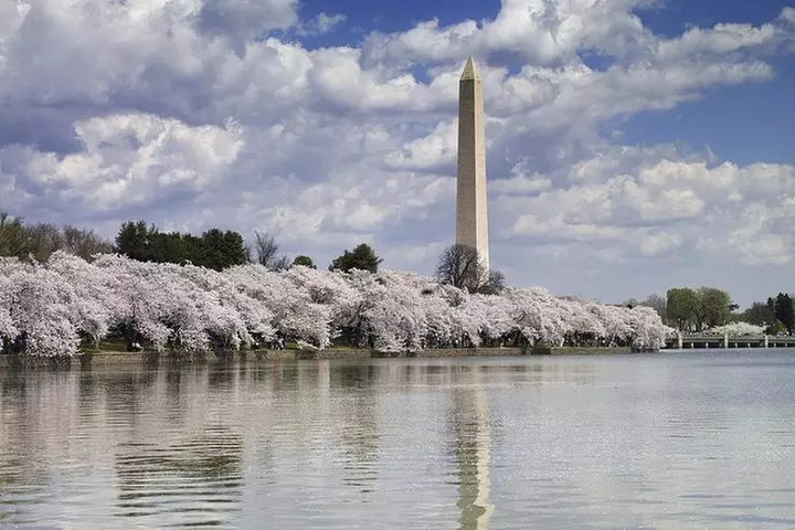 DC Bus Tour with 10+ Stops & Potomac Cruise, Optional US Capitol