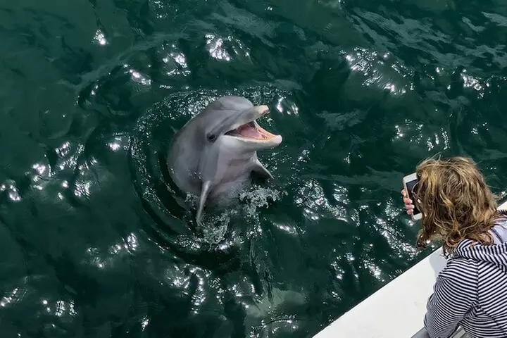 Wreck and Bridge Span Dive for Certified Divers