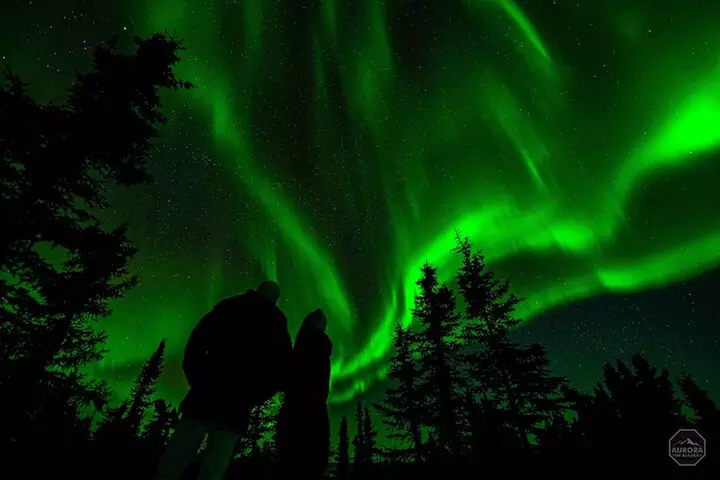 SkyChase™ Northern Lights Experience