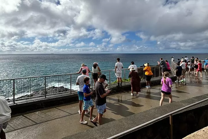 Oahu Circle Island: Snorkel with Turtles & Explore Turtle Beach