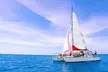 Full-Day Great Barrier Reef Sailing Trip from Cairns - Image 4
