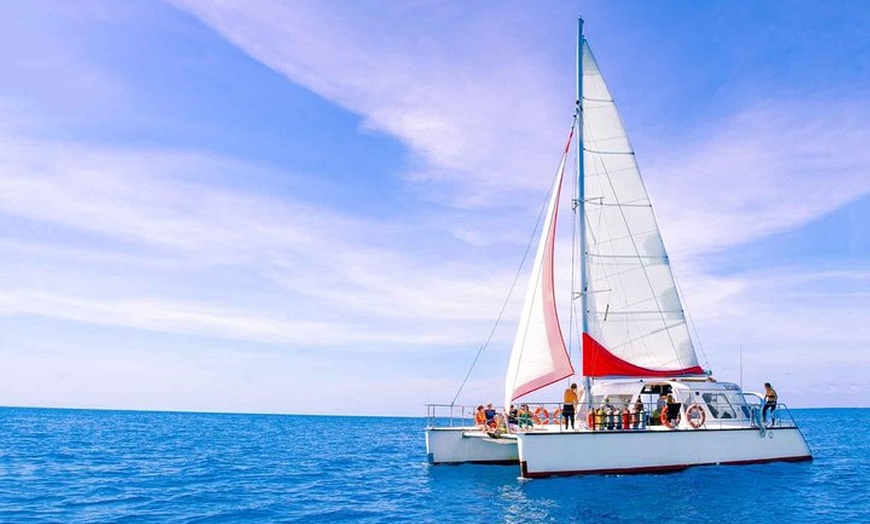 Image 4: Full-Day Great Barrier Reef Sailing Trip from Cairns