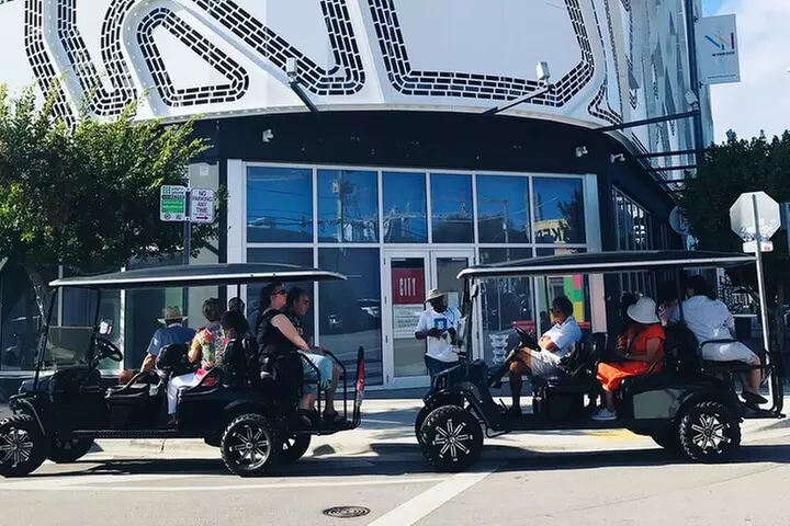Wynwood Graffiti Golf Cart Small-Group Tour