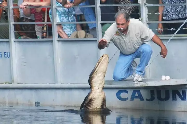 Full Day Plantation -N- Swamp Tour in New Orleans