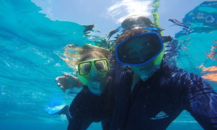 Image 11: Aquascene Magnetic Island Discovery Tour