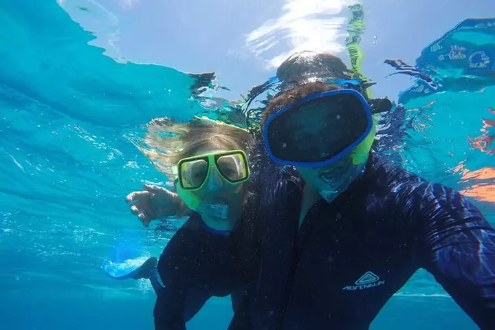 Magnetic Island Discovery Tour with Snorkeling & Paddle Boarding