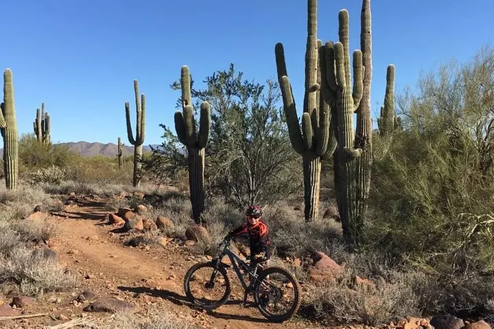 3 Hour Sonoran Desert Private Guided Mountain Bike Tour