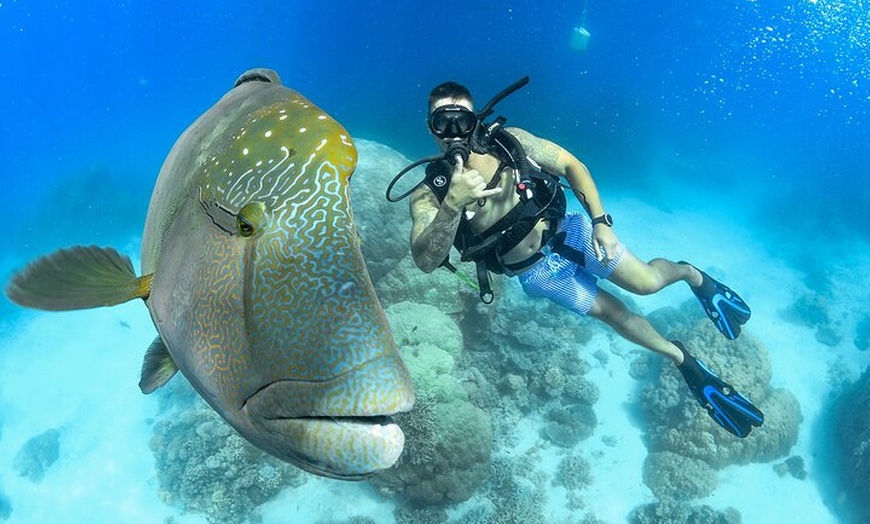 Image 5: Great Barrier Reef Snorkeling and Diving Cruise from Cairns