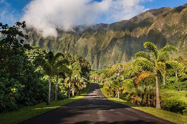 Explore Oahu in a Polaris Slingshot