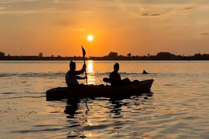 Sunset Kayaking with Dolphins
