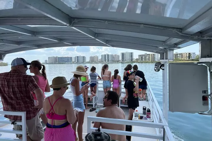 2 HR Dolphin Tour for 7 people